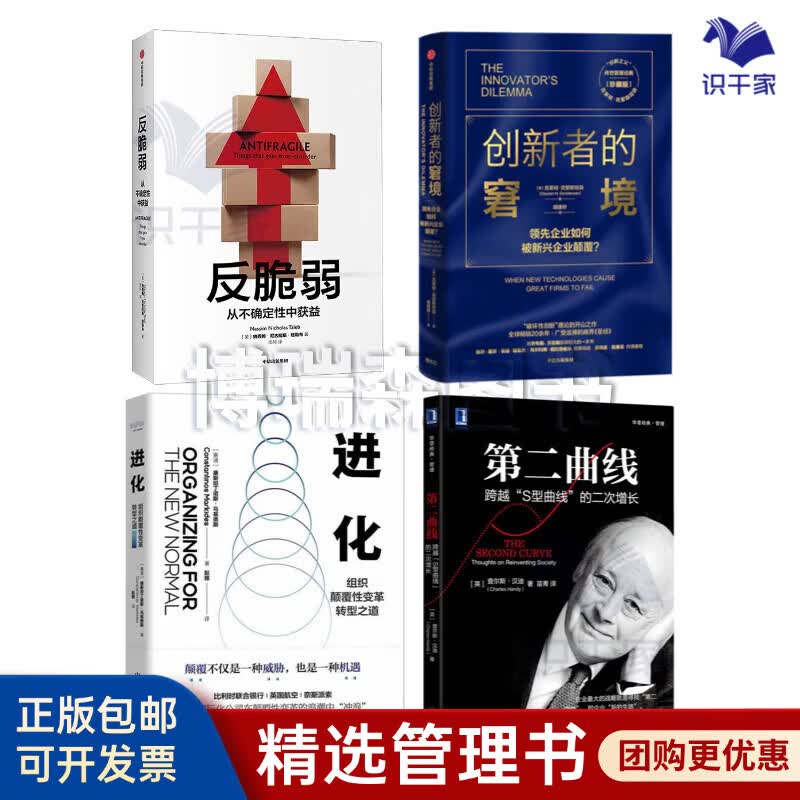 马鞍山市转型期组织变革(组织转型主要考虑的三大要素)