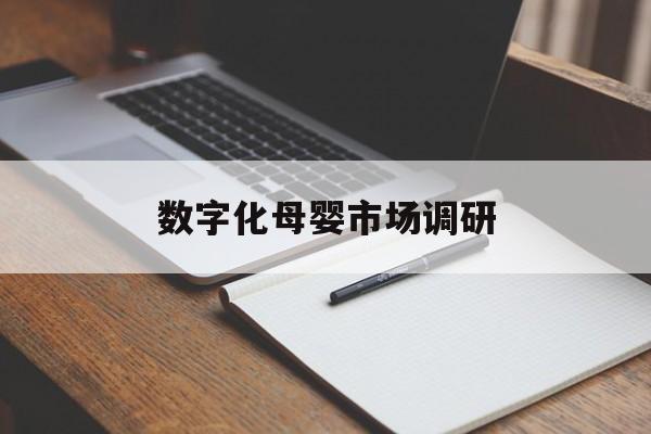 马鞍山市数字化母婴市场调研(数字化母婴市场调研报告)