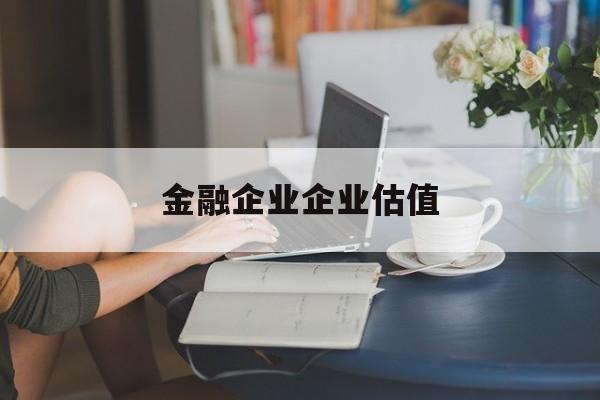 马鞍山市金融企业企业估值(最新企业估值怎么填)